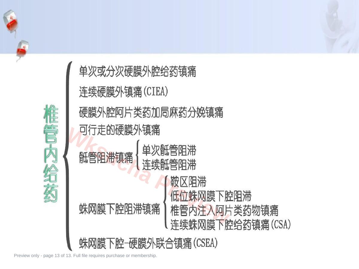 预览第 13 页