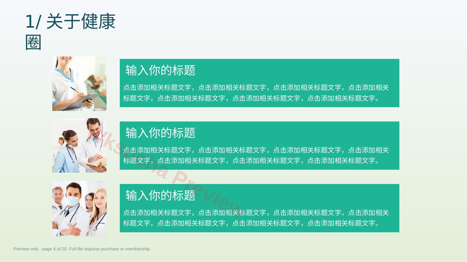 预览第 4 页