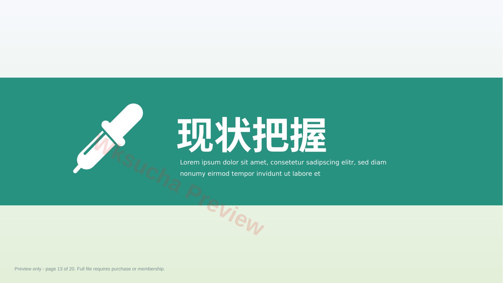 预览第 13 页
