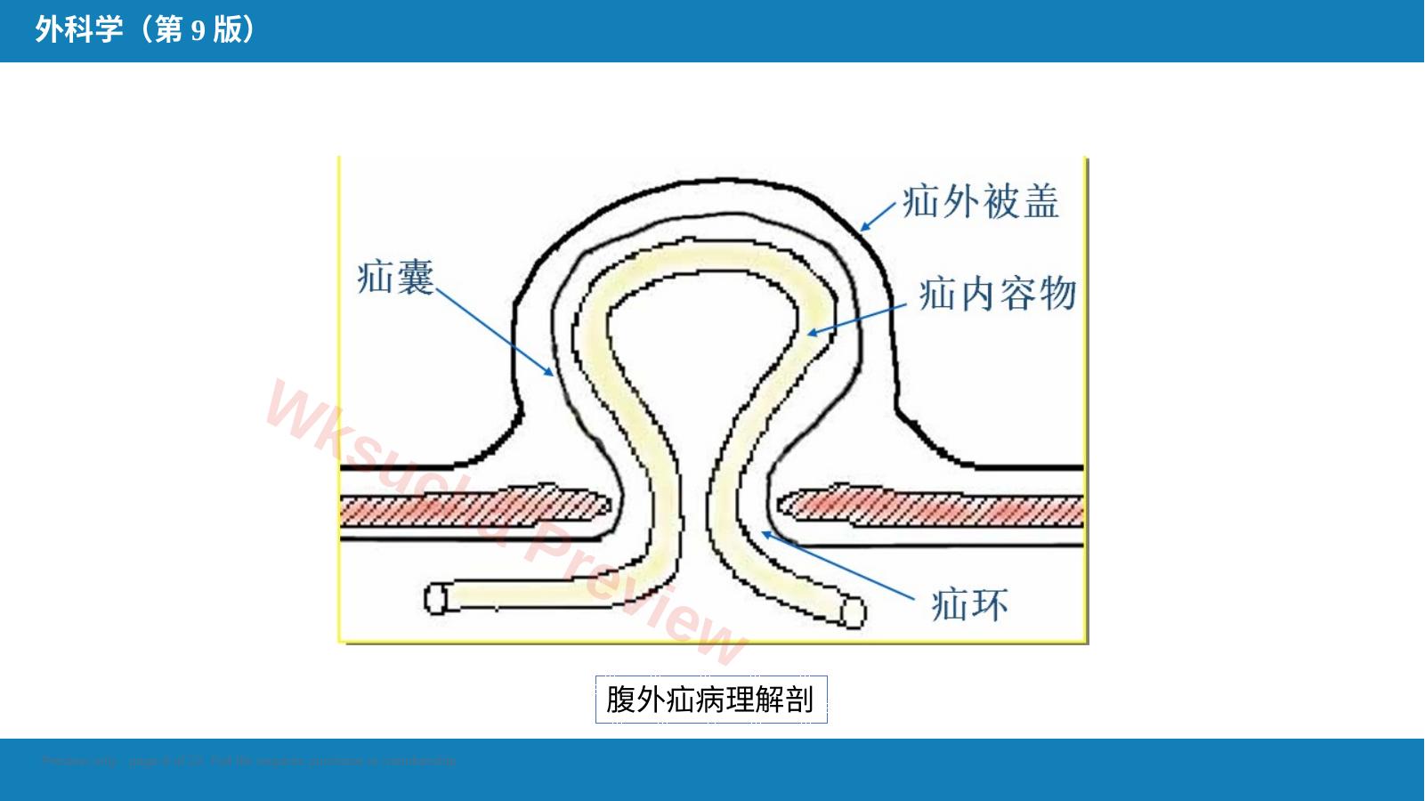 预览第 8 页
