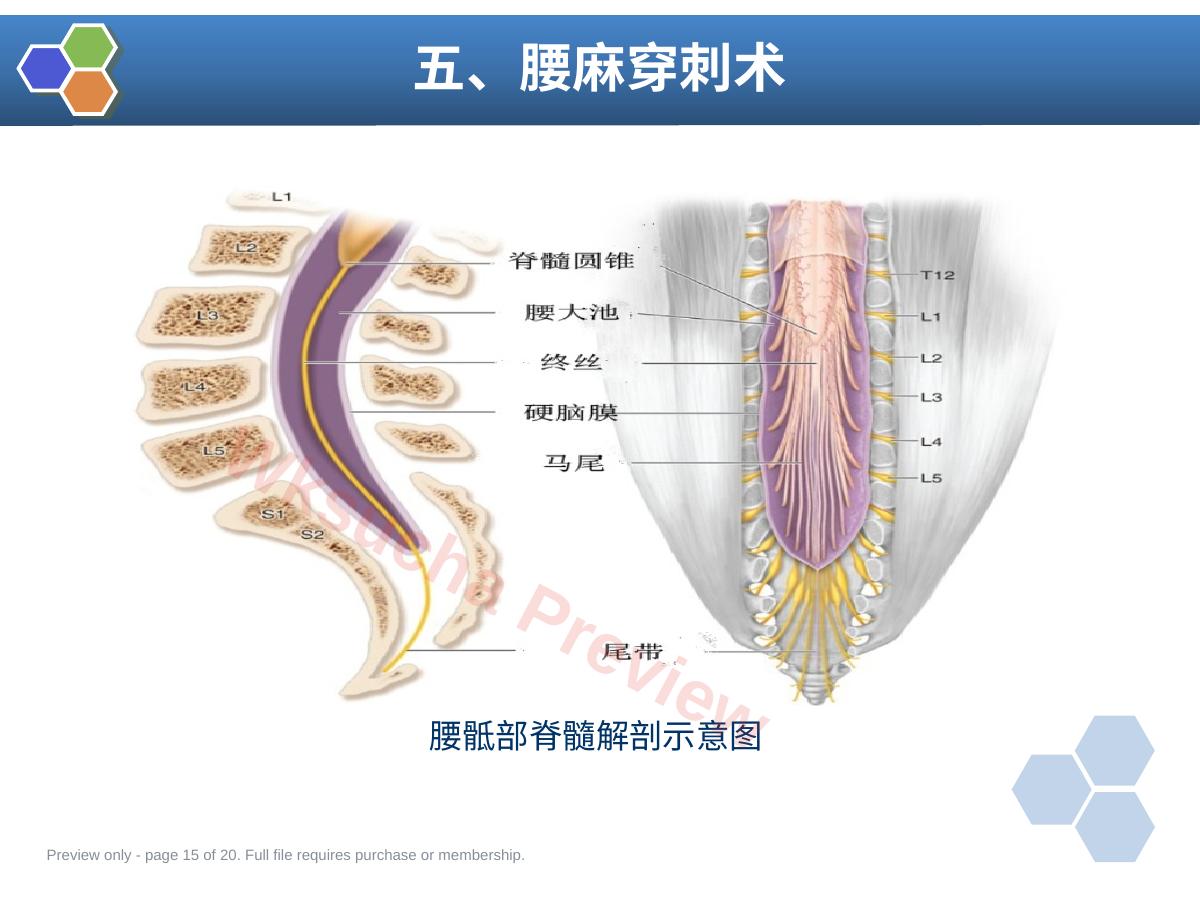 预览第 15 页