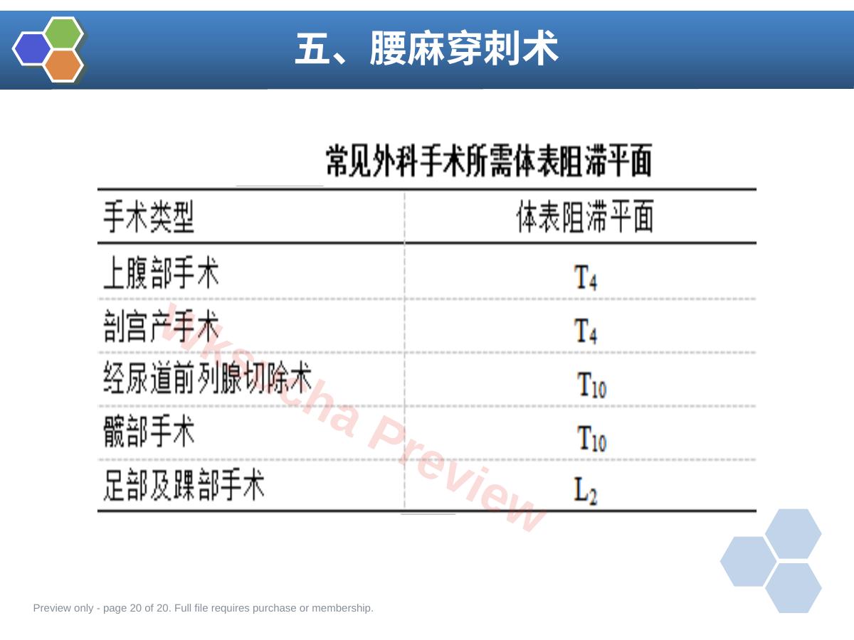 预览第 20 页