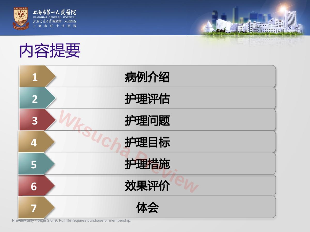 预览第 3 页