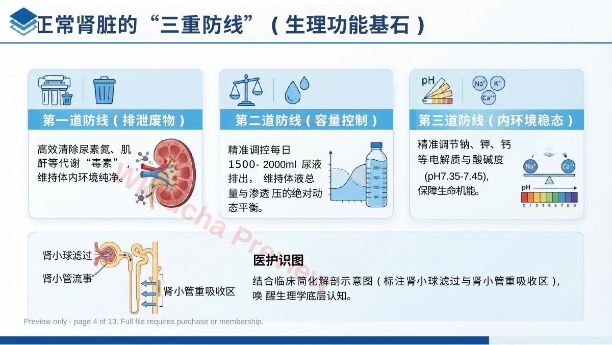 预览第 4 页
