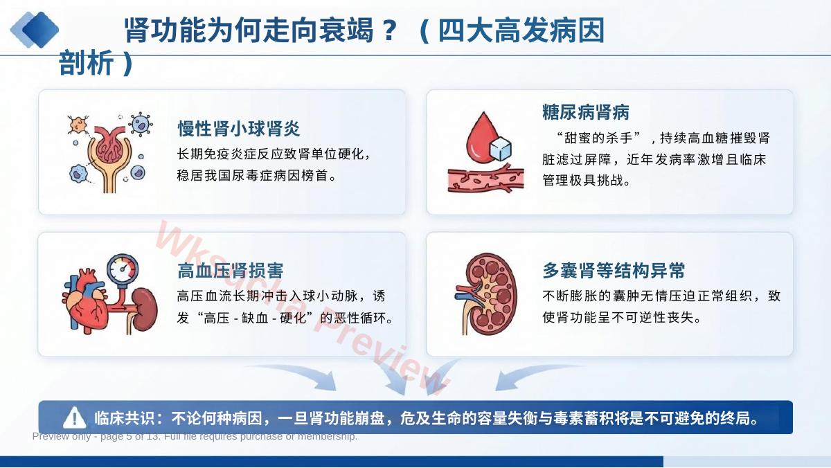 预览第 5 页
