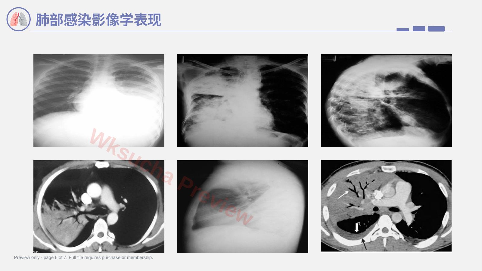 预览第 6 页