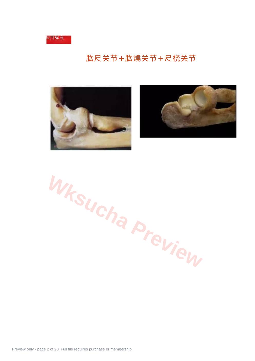 预览第 2 页
