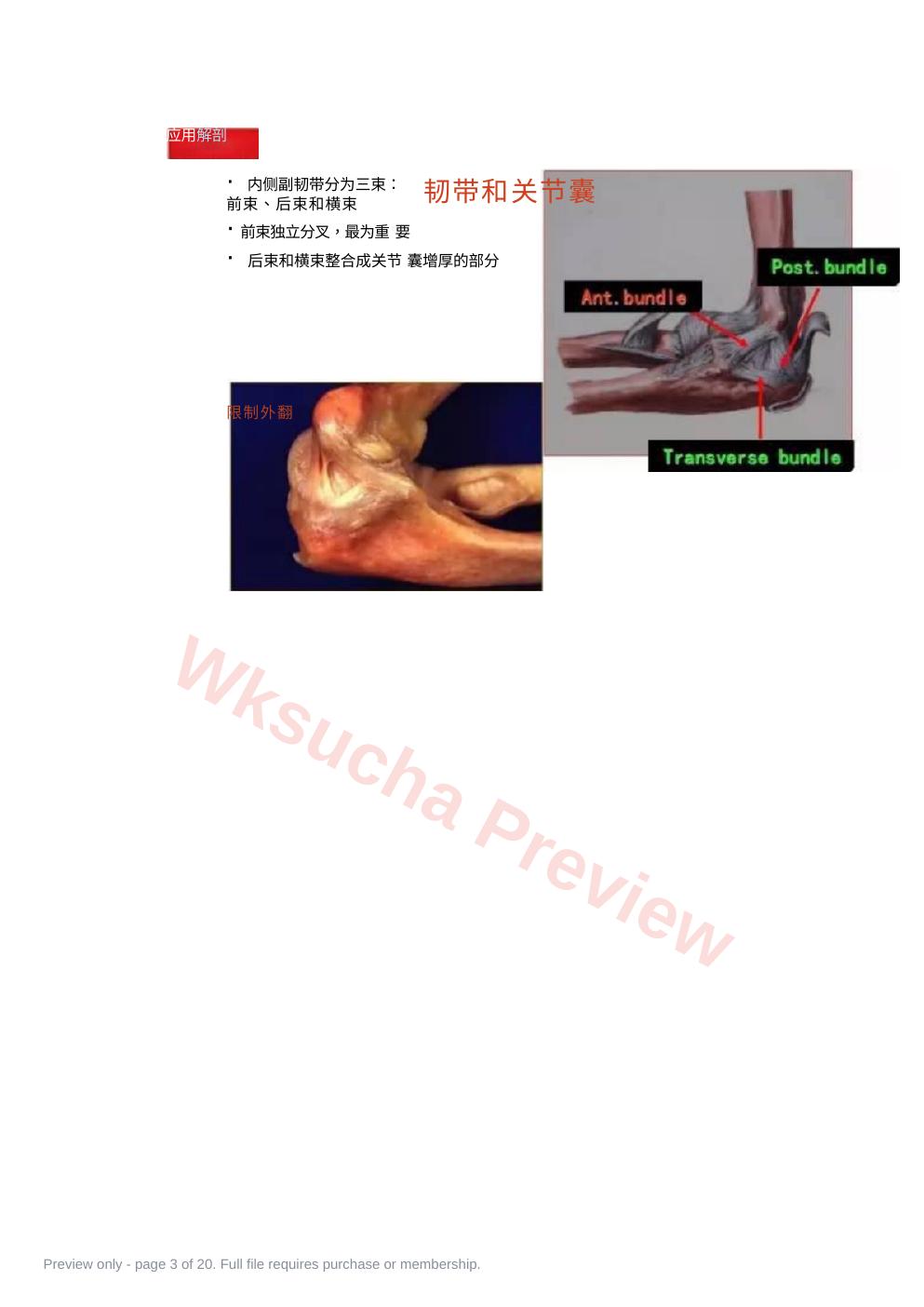 预览第 3 页