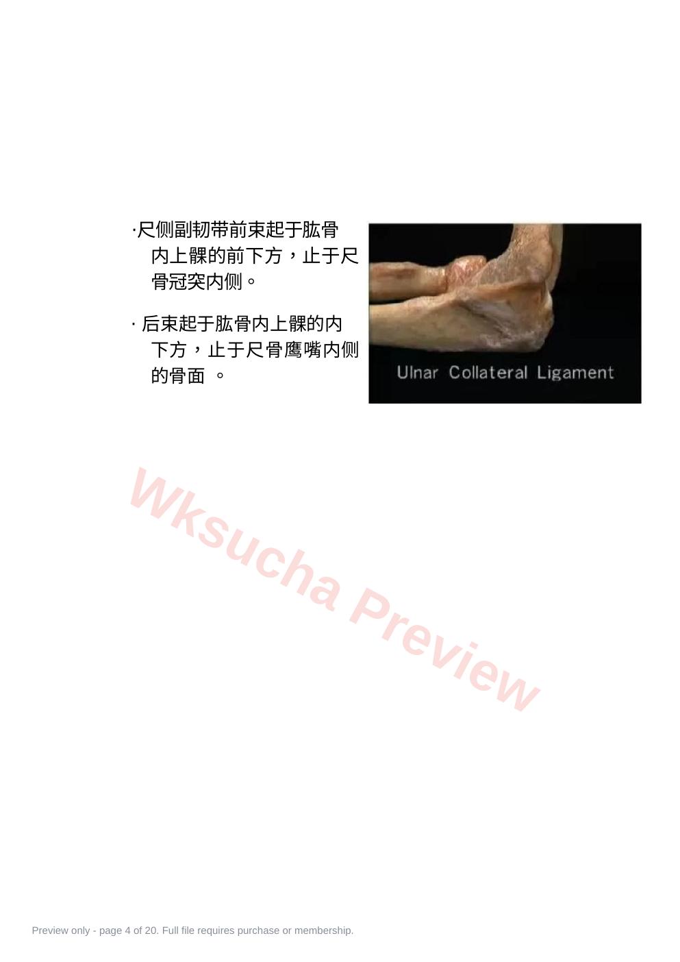 预览第 4 页