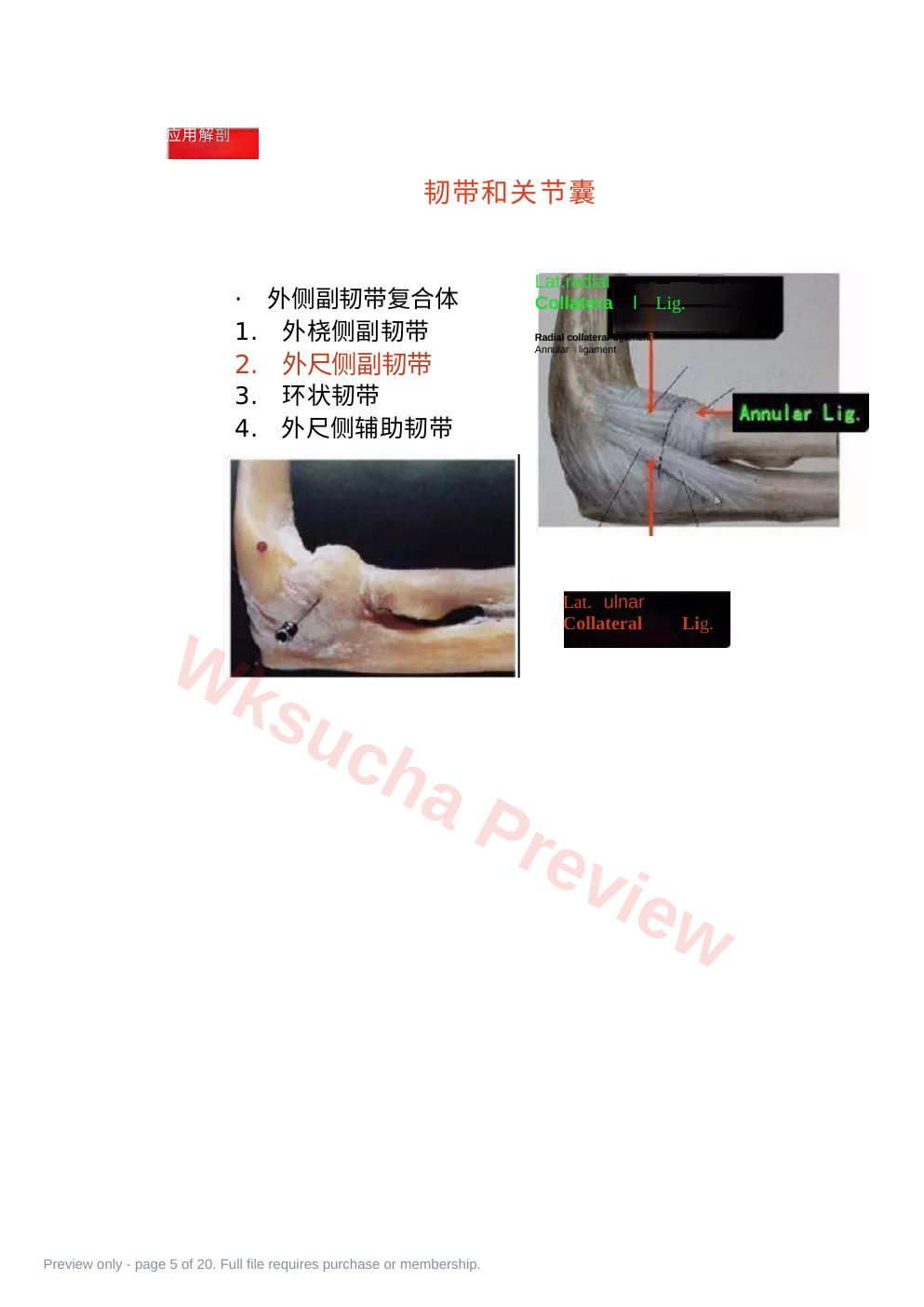 预览第 5 页