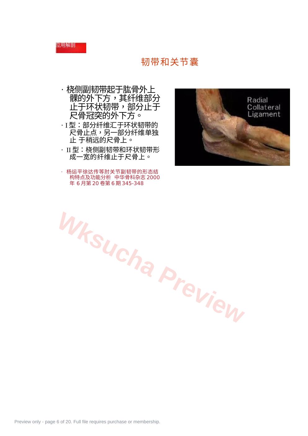 预览第 6 页