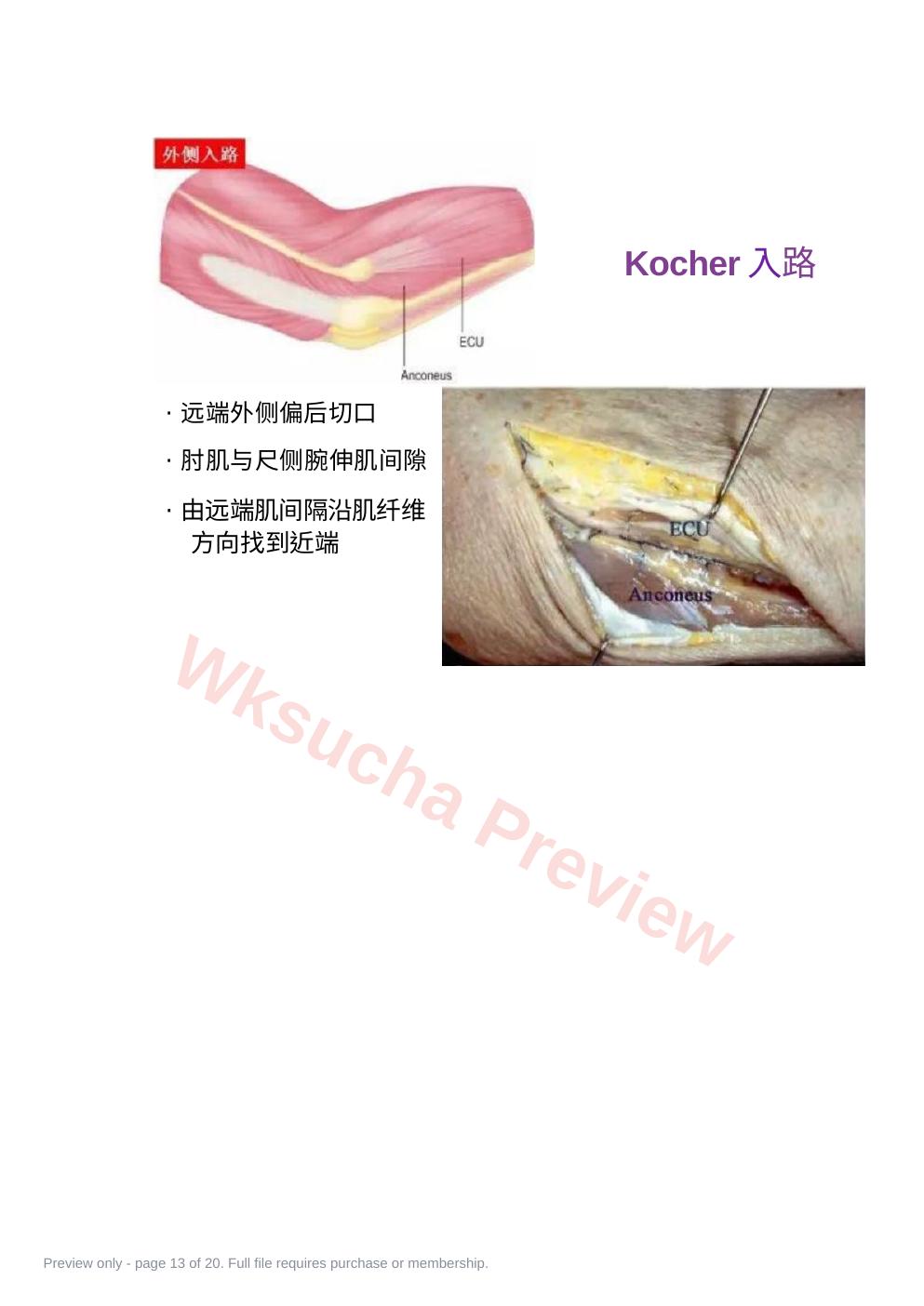 预览第 13 页