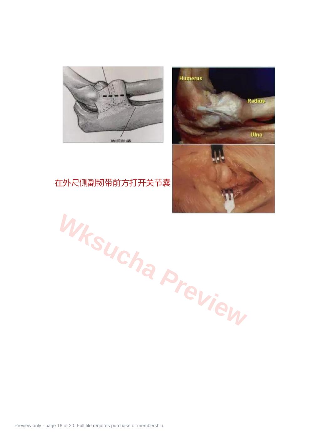 预览第 16 页