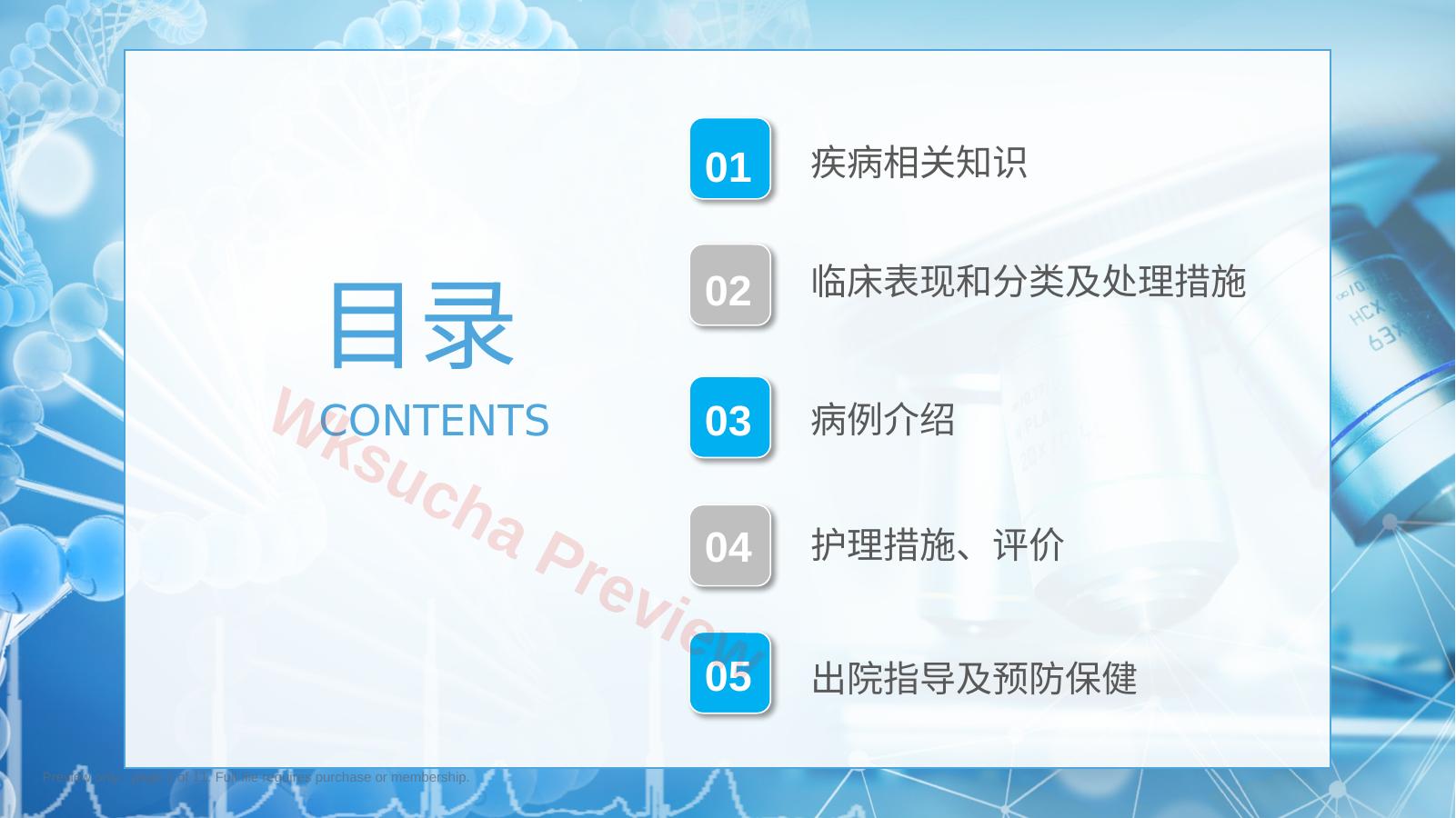 预览第 2 页