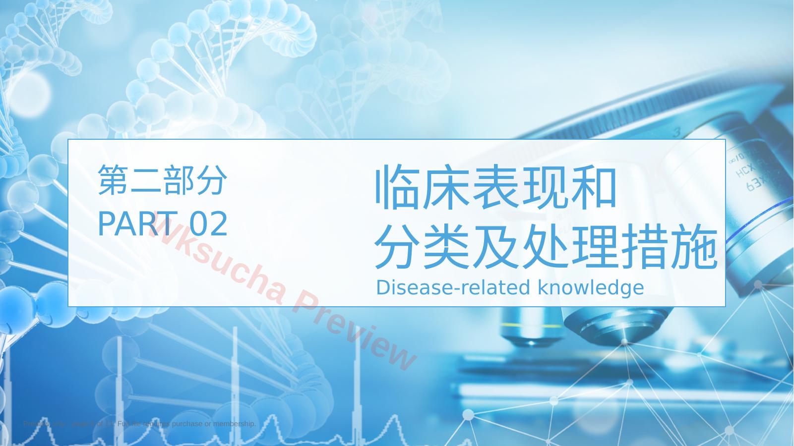 预览第 6 页