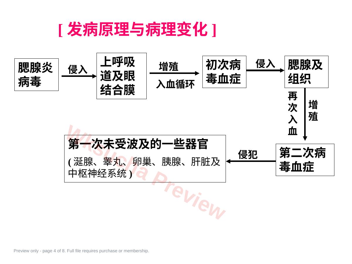 预览第 4 页