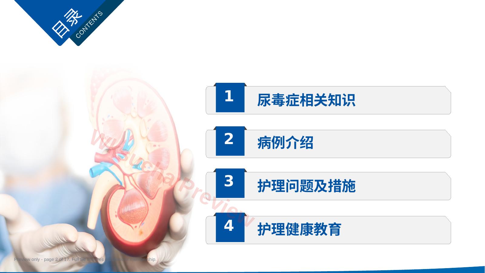 预览第 2 页