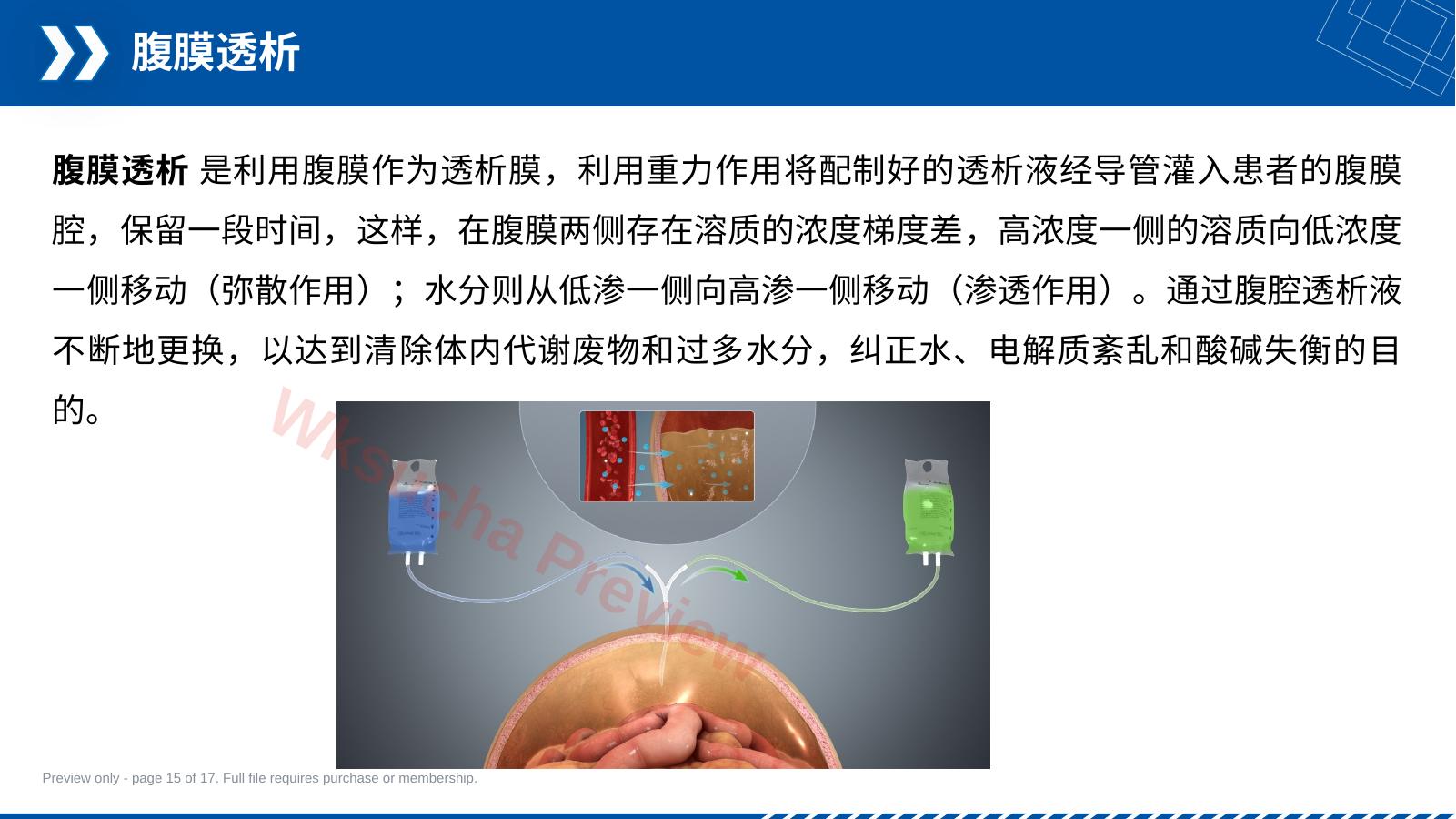 预览第 15 页