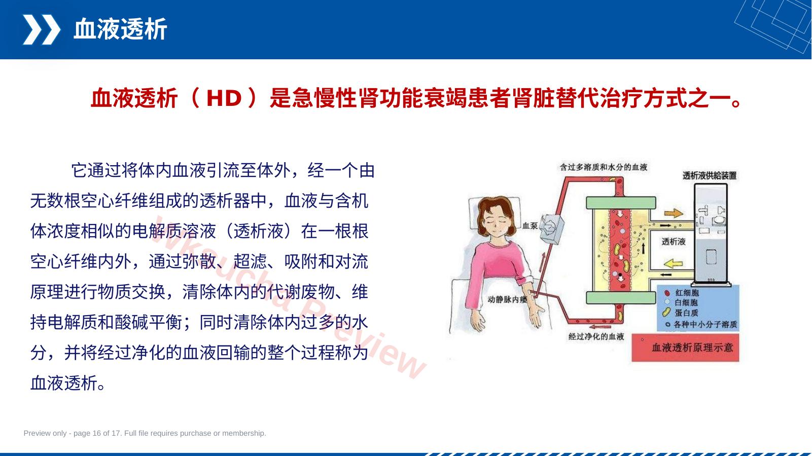 预览第 16 页