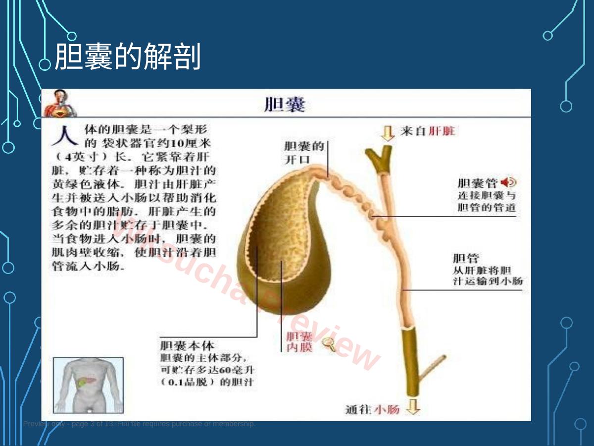 预览第 3 页