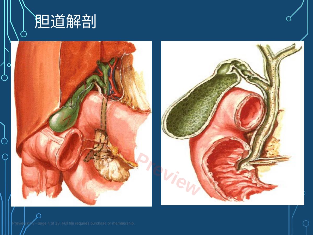 预览第 4 页