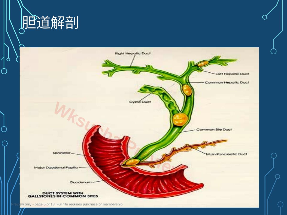 预览第 5 页