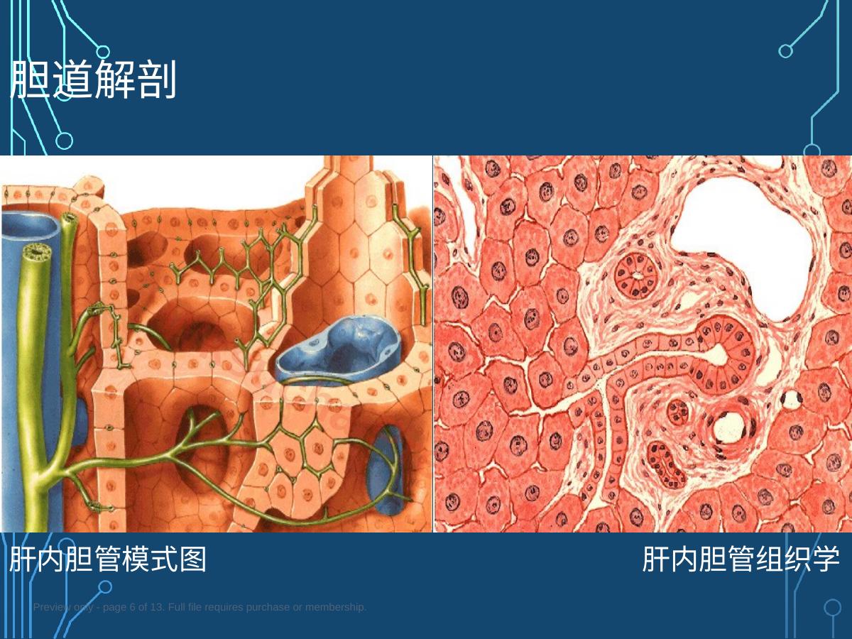 预览第 6 页