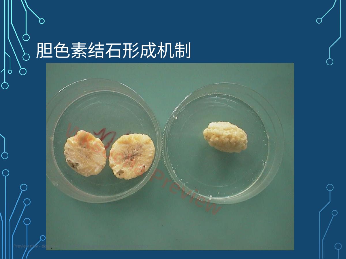 预览第 8 页
