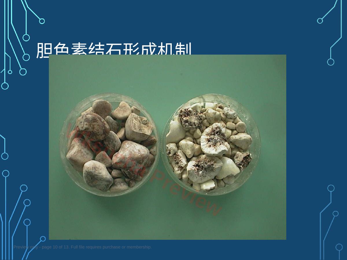预览第 10 页