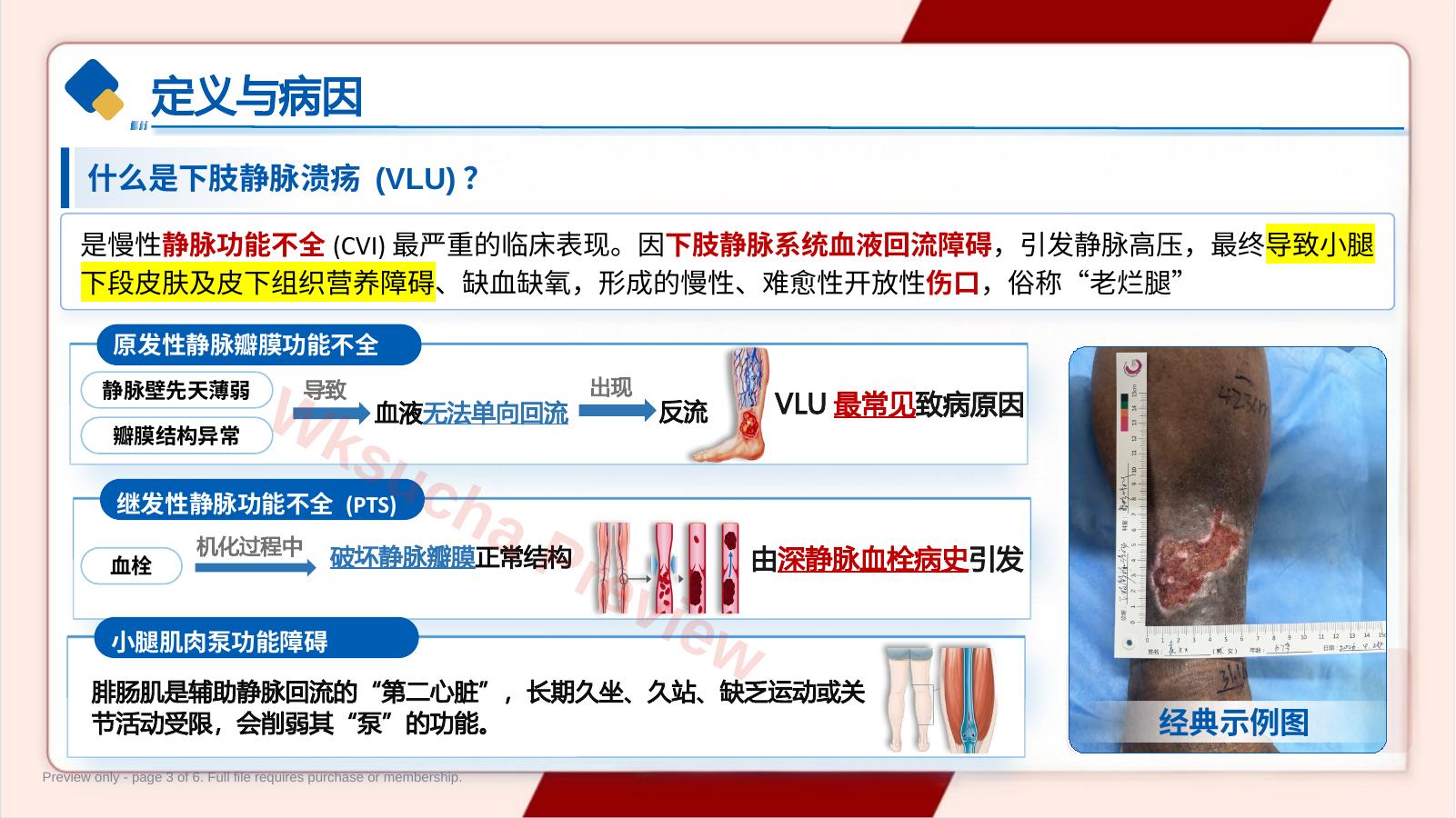 预览第 3 页