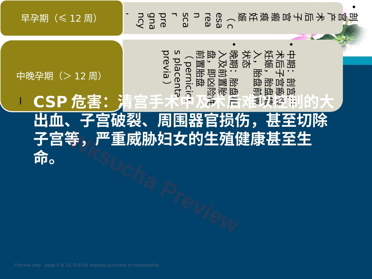 预览第 4 页
