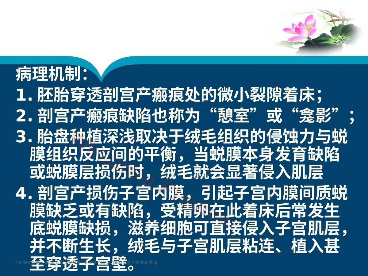 预览第 6 页