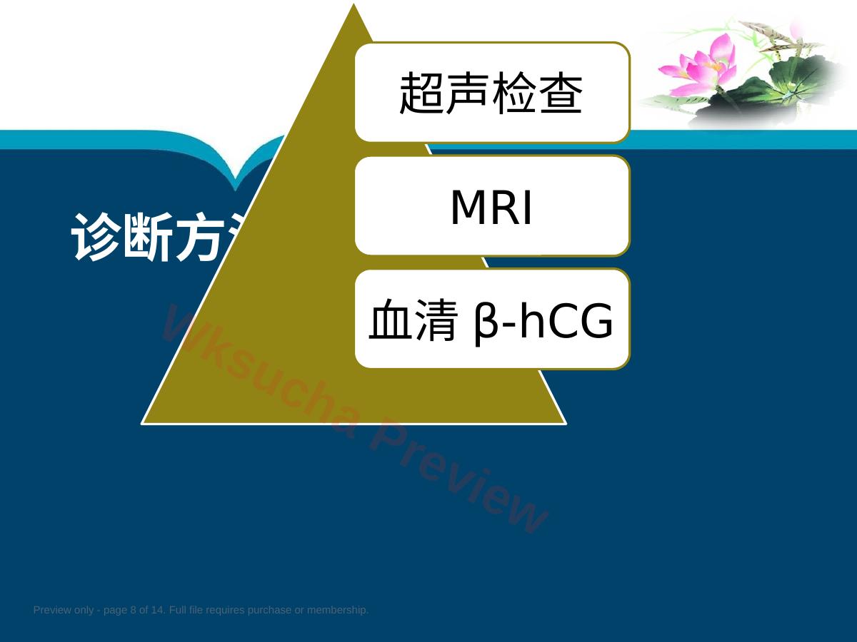 预览第 8 页
