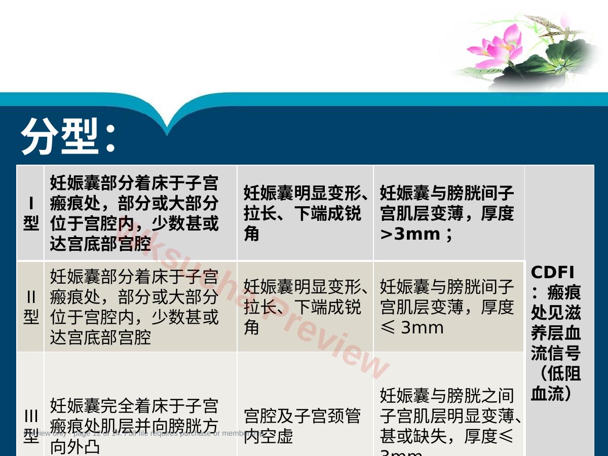 预览第 12 页