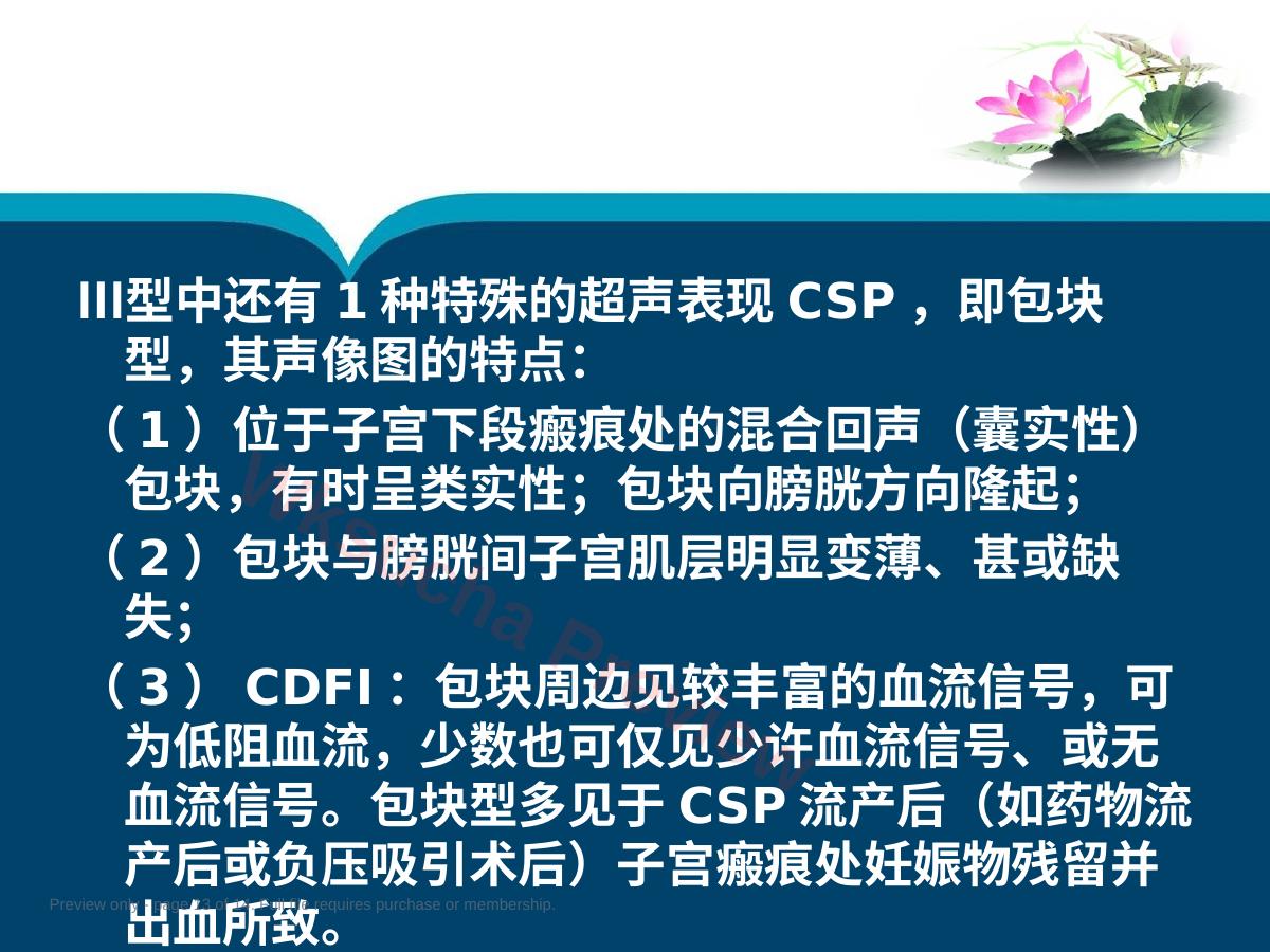 预览第 13 页