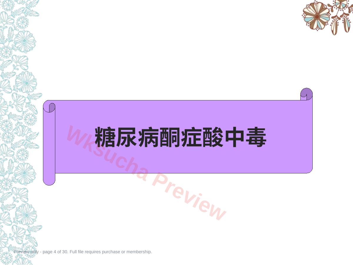 预览第 4 页