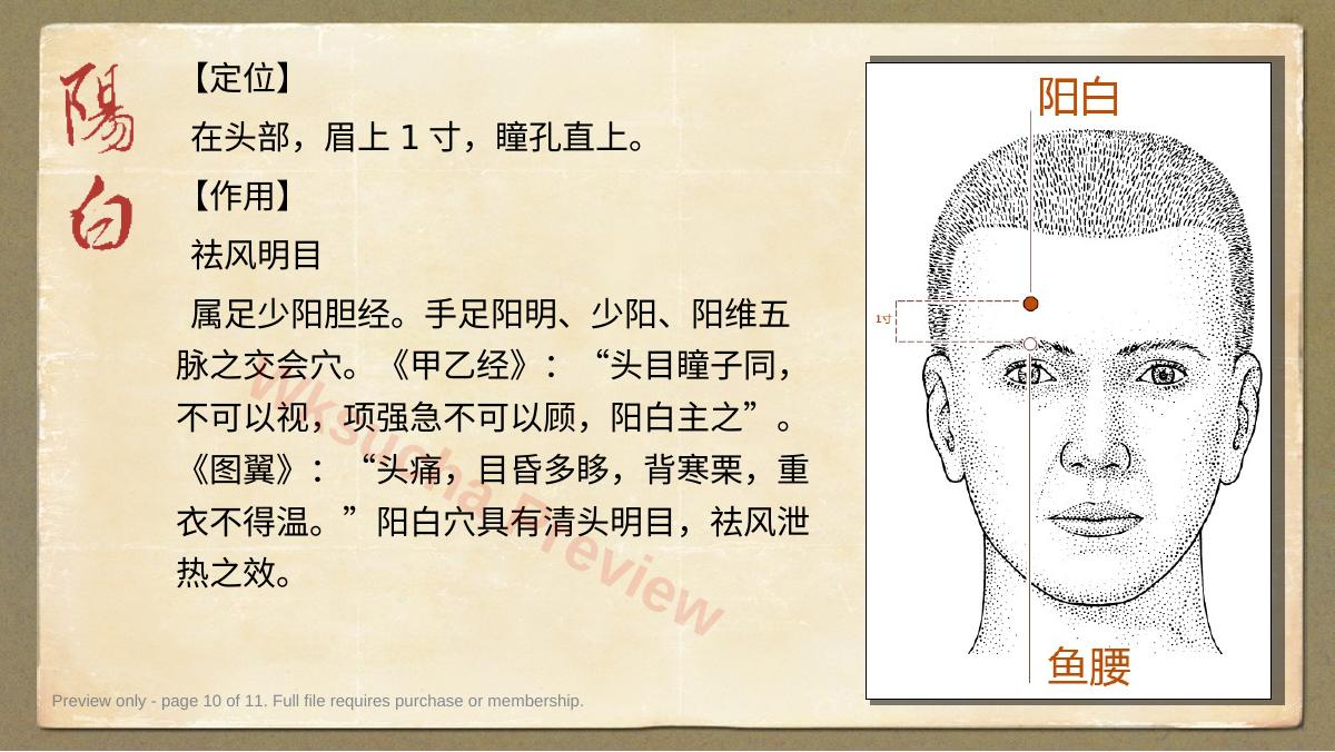 预览第 10 页