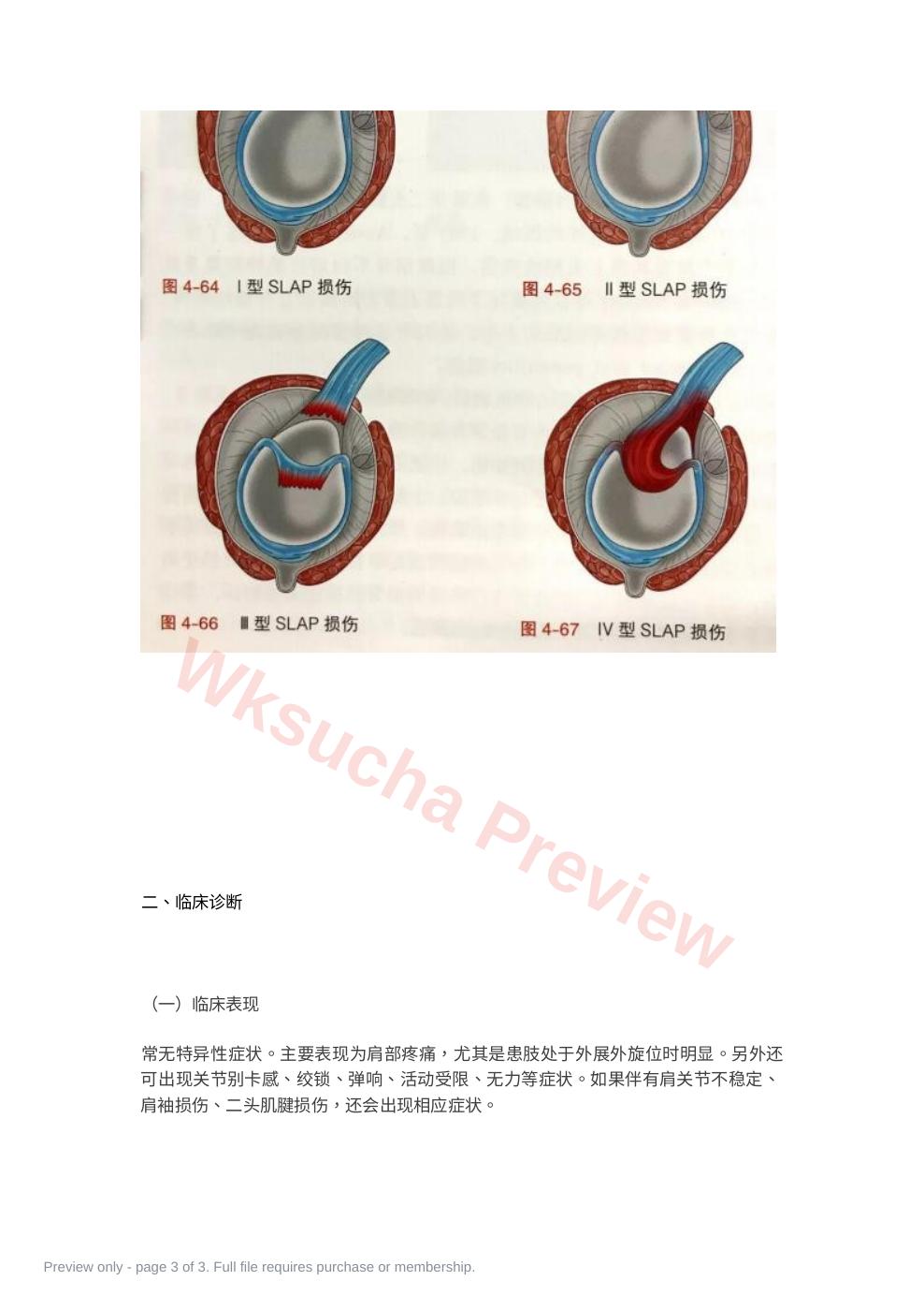预览第 3 页