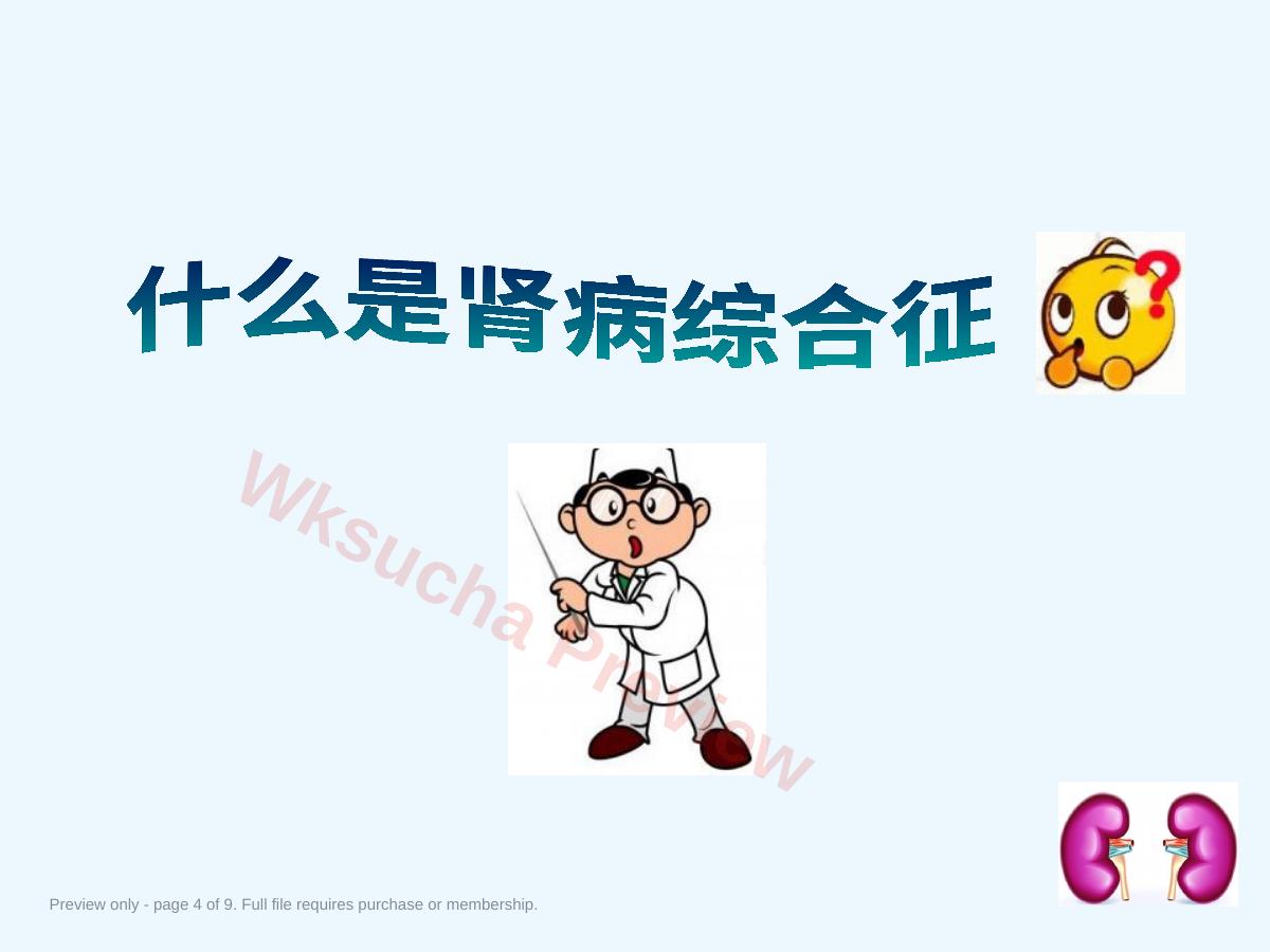 预览第 4 页
