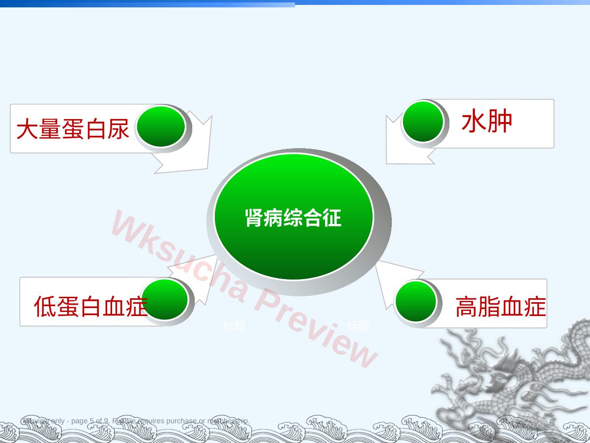 预览第 5 页