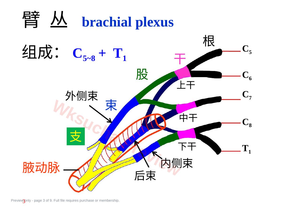 预览第 3 页