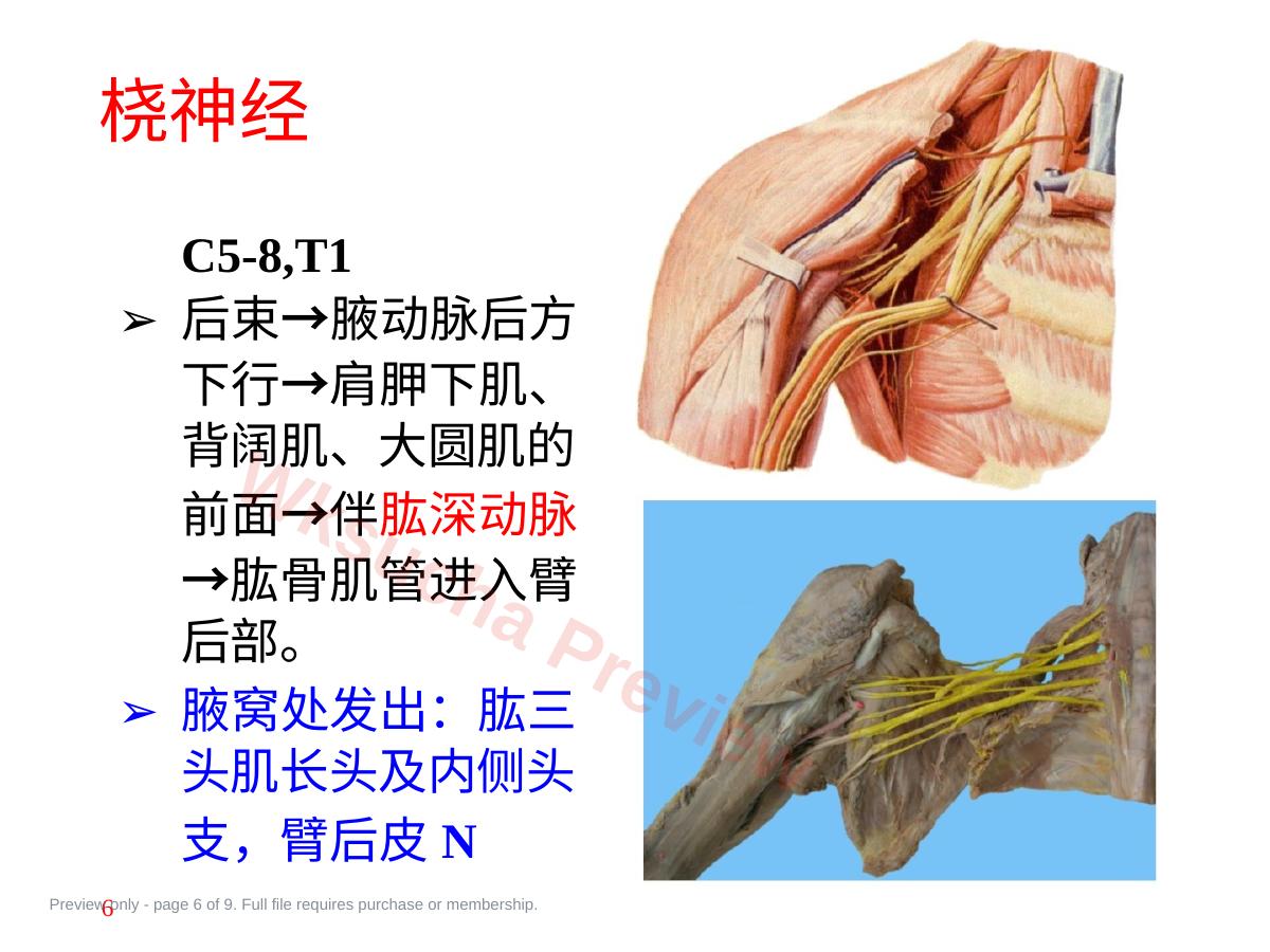 预览第 6 页