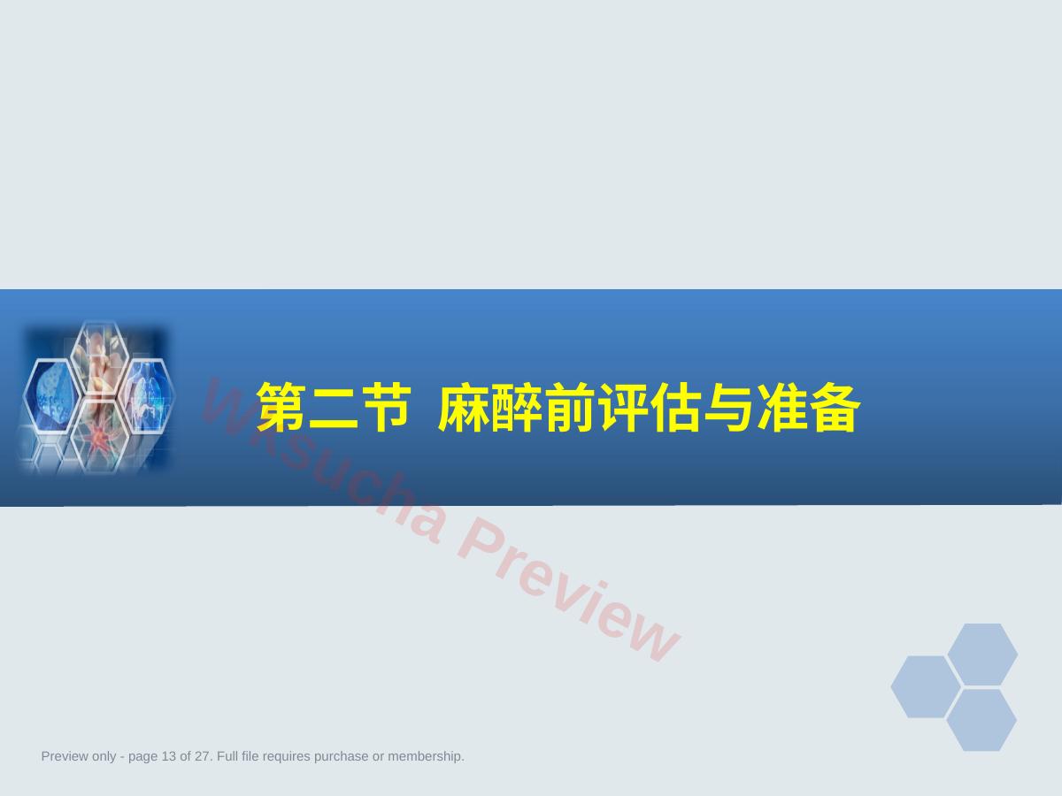 预览第 13 页