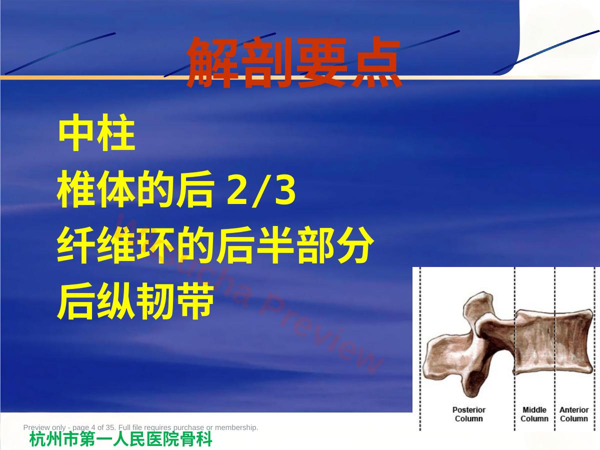 预览第 4 页