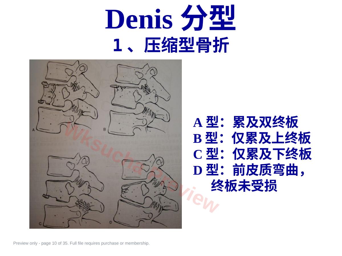 预览第 10 页