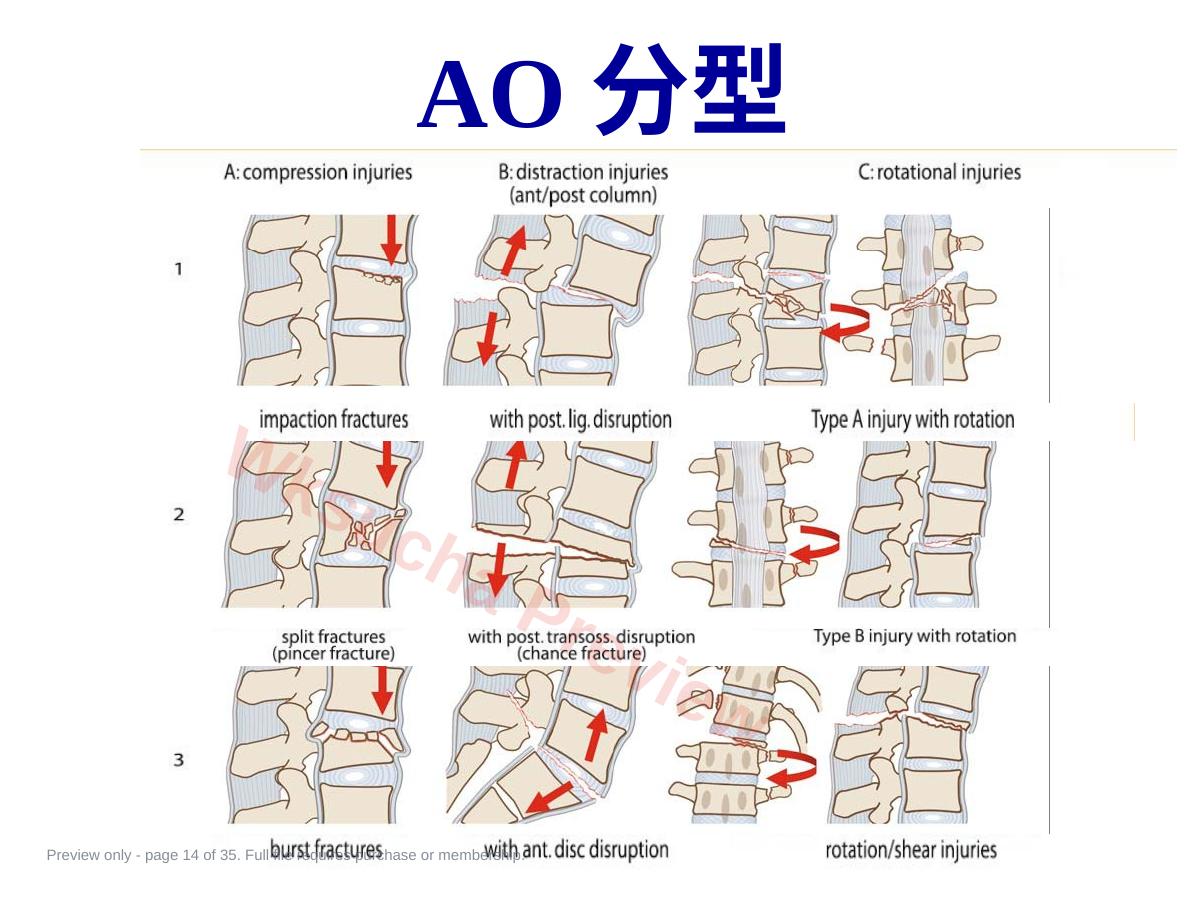 预览第 14 页