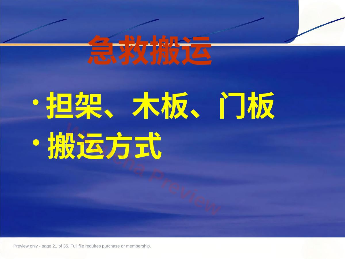 预览第 21 页