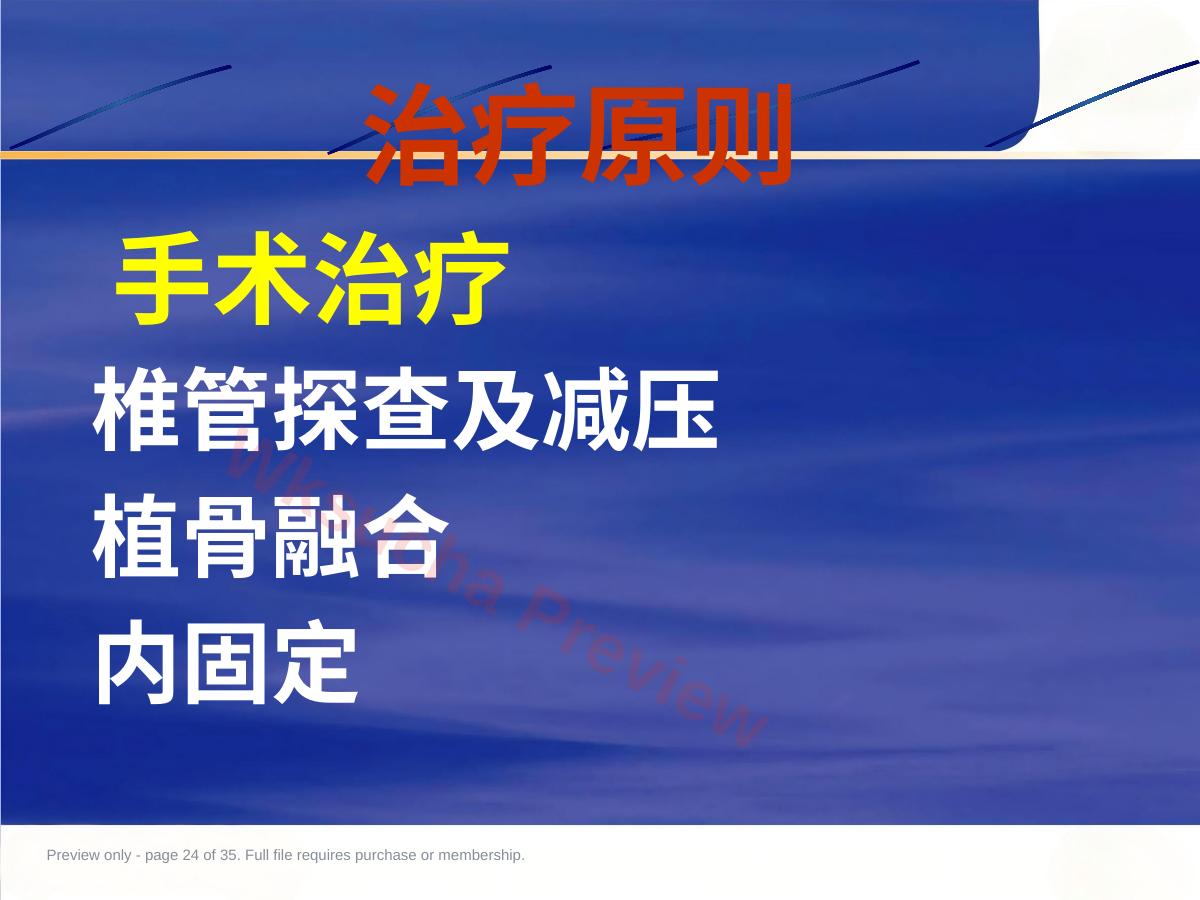 预览第 24 页