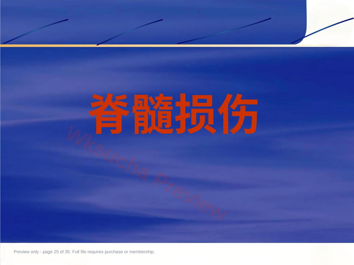 预览第 25 页