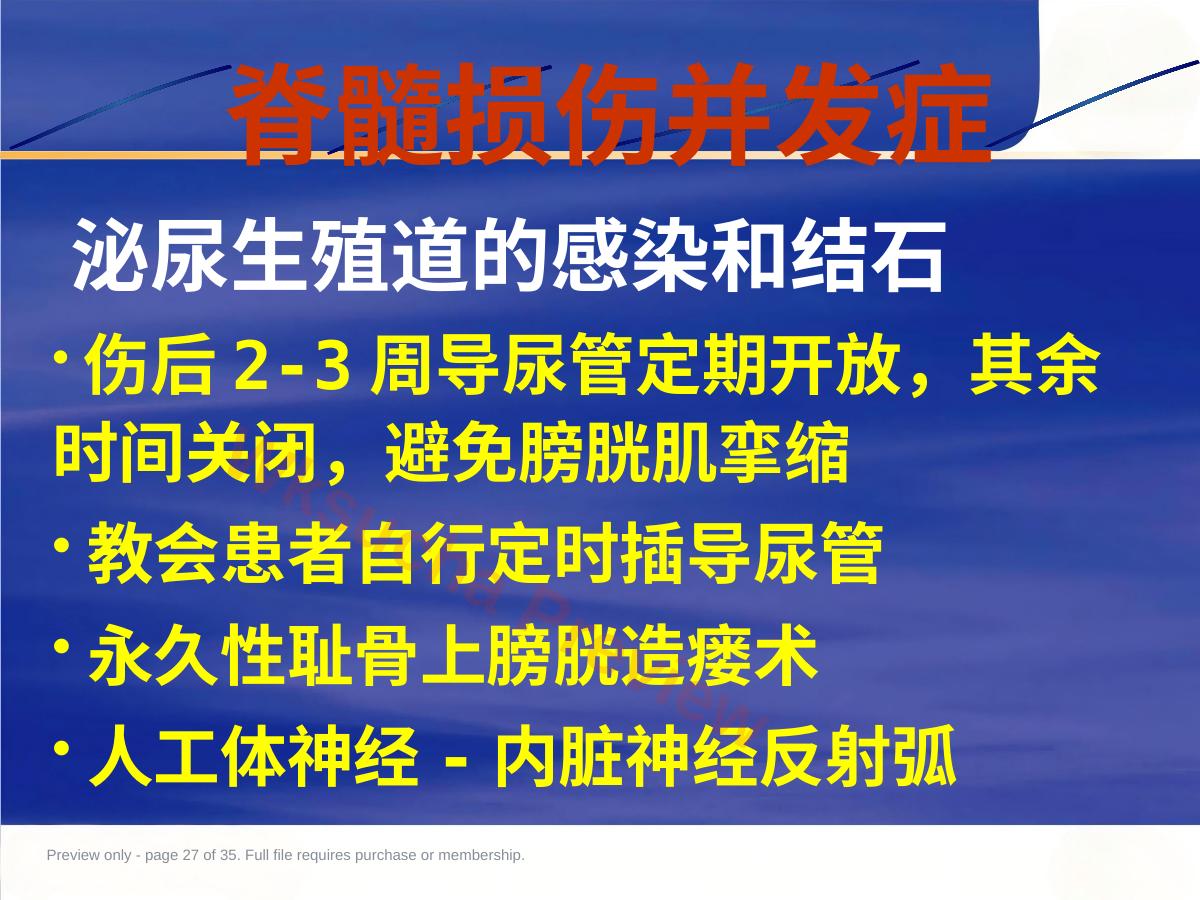 预览第 27 页